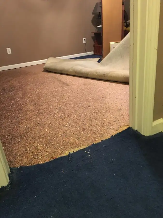 Carpet pad removal revealing water damage during Drying & Dehumidification in Thibodaux