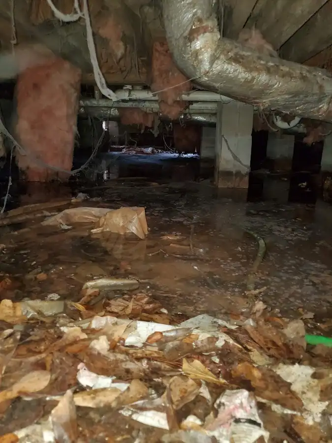 Crawl space flood assessment for Commercial Water Damage Restoration in Thibodaux