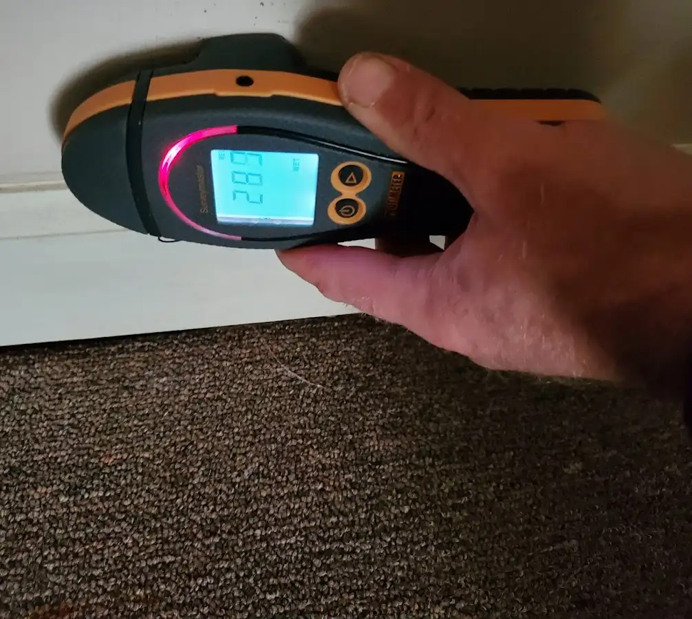 Moisture detection at baseboard during Burst Pipe Cleanup in Thibodaux